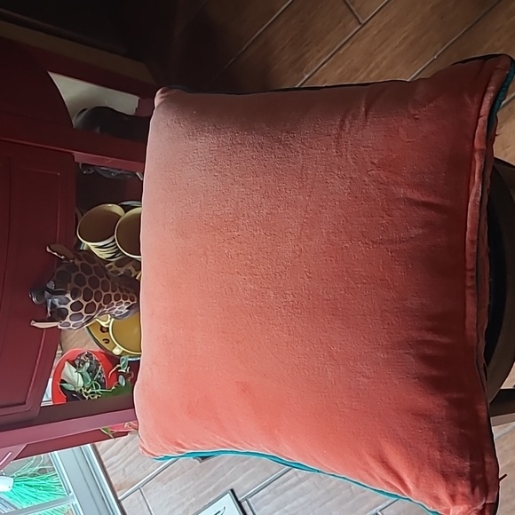 🦓Zebra Velour Decorative Pillow - Picture 4 of 7